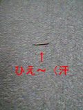 2004ǯ716ʶˤβ