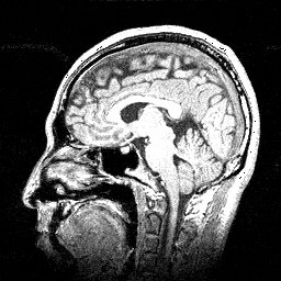 �����ƌ��āI